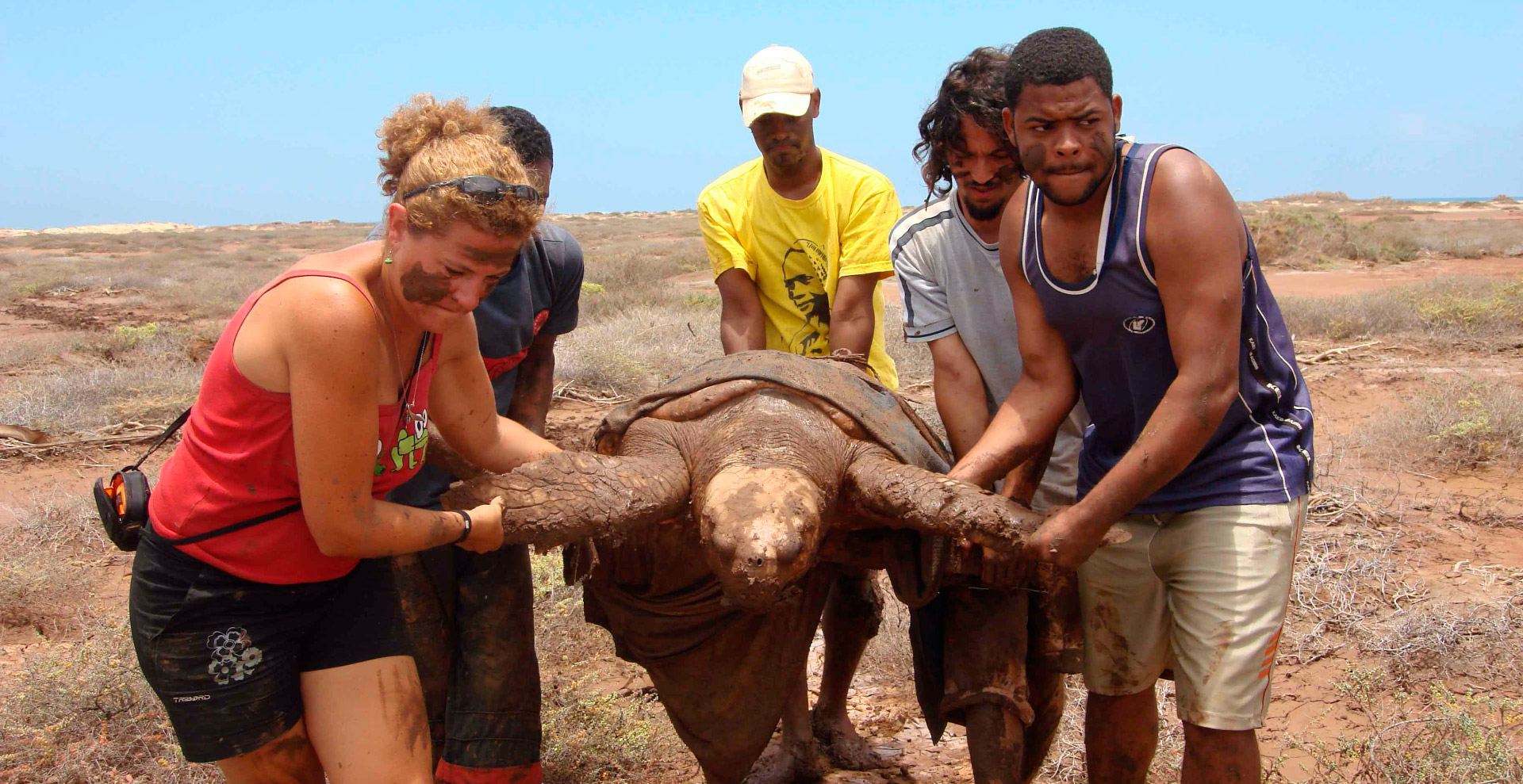 Tartaruga Boa Vista project, funded by MAVA Foundation