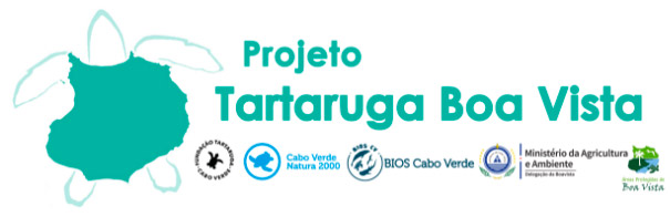 Tartaruga Boa Vista - Cabo Verde